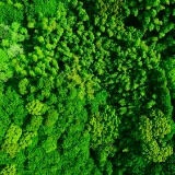 サスティナビリティ